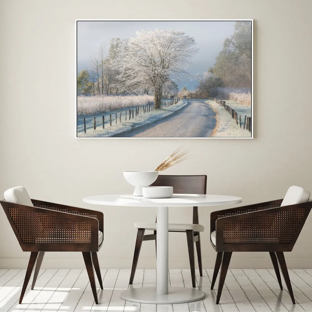 A Frosty Morning, by Chris Moore