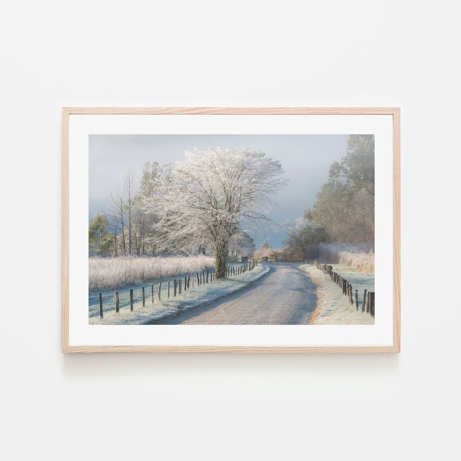 A Frosty Morning, by Chris Moore