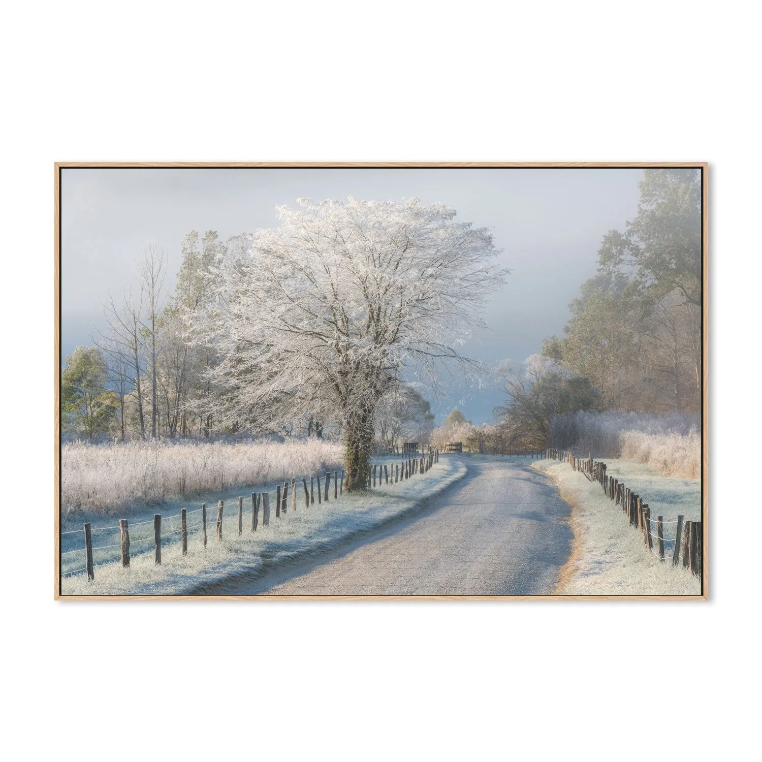 A Frosty Morning, by Chris Moore