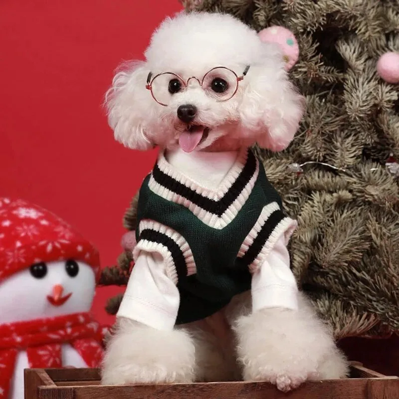 College Style Pet Sweater