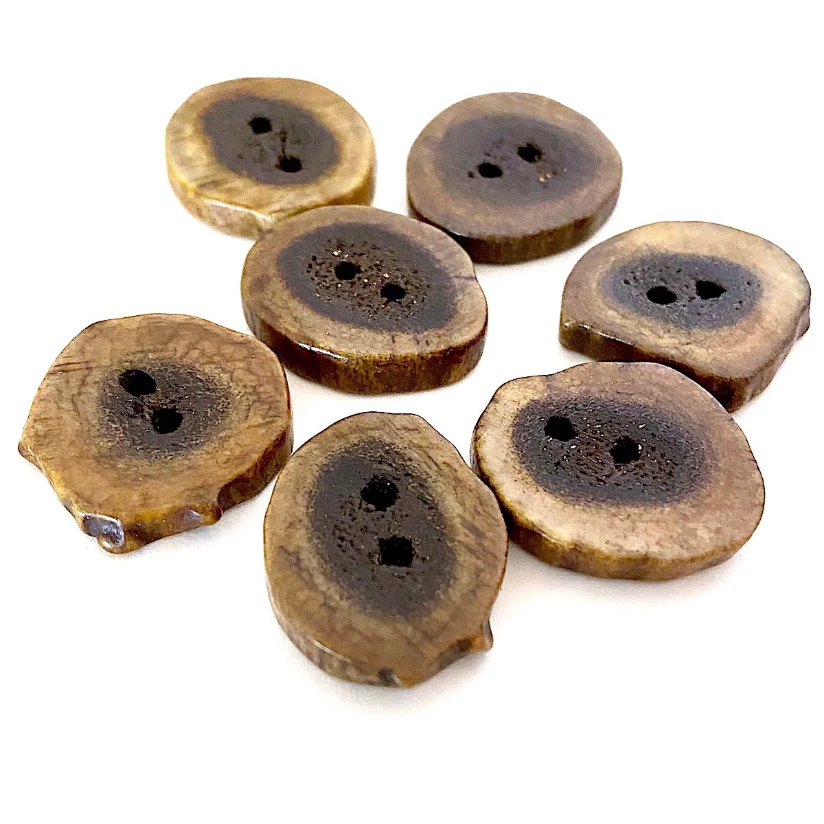 Deeper SALE Genuine Antler Buttons 1" Natural Brown Cross-Cut   #SW-204