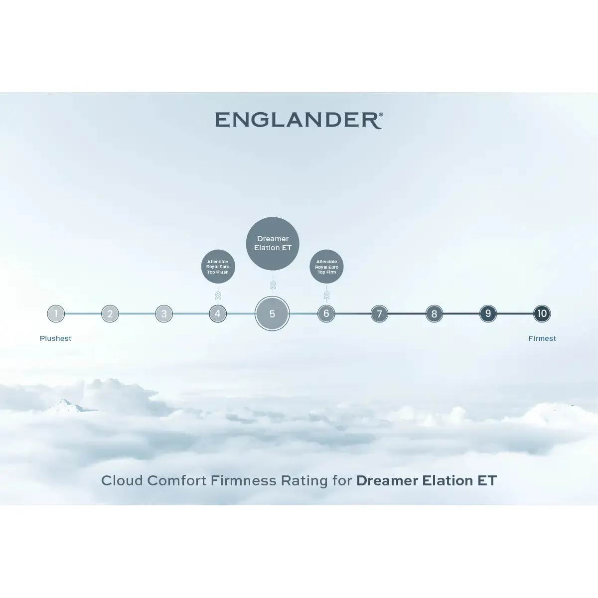 Dreamer Elation Euro Top Mattress by Englander