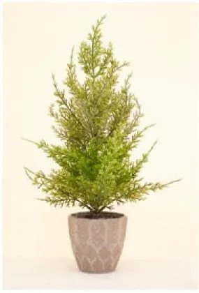Frosted Potted Tree 40cm