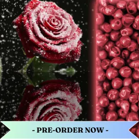 Frosty Rose & Pink Pepper Fragrance Oil Pre Order