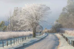 Frosty