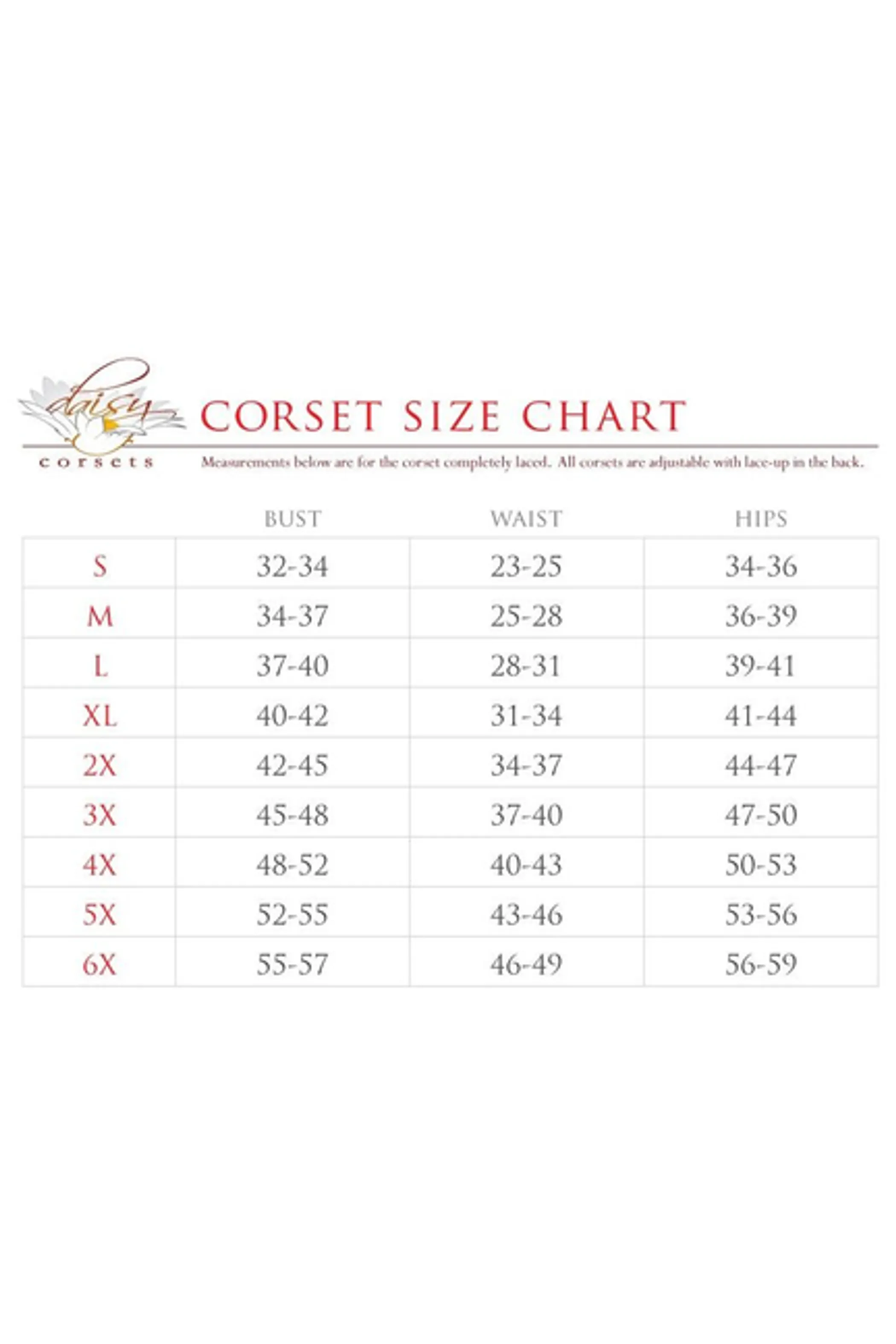 Lavish 3 PC Clear Black Witch Corset Costume