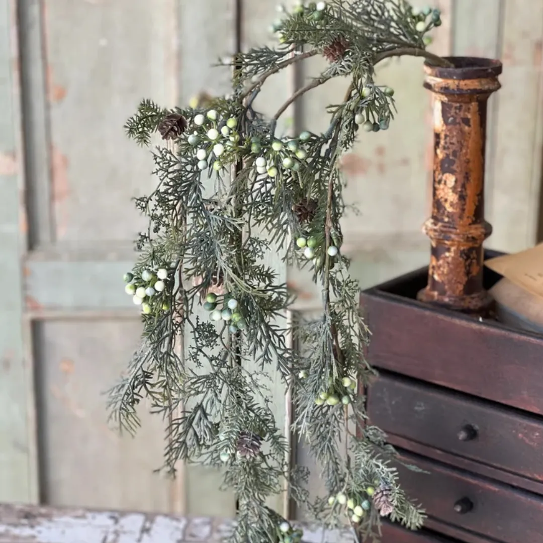 Siberian Hanging Cypress Bush, 39", Green